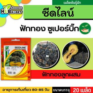 ซีดไลน์ 🇹🇭 ฟักทองลูกผสม ซูเปอร์บิ๊ก ขนาดบรรจุประมาณ 20 เมล็ด อายุเก็บเกี่ยว 80-85 วัน