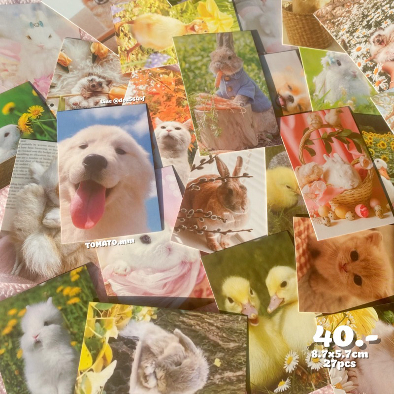 Lomo card กล่อง28ใบ โลโม การ์ดใบเล็ก 5x8 cm กระดาษแข็ง รูปที่ 8