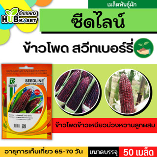 ซีดไลน์ 🇹🇭 ข้าวโพดข้าวเหนียวม่วงหวานลูกผสม สวีทเบอร์รี่ ขนาดบรรจุประมาณ 50 เมล็ด อายุเก็บเกี่ยว 65-70 วัน