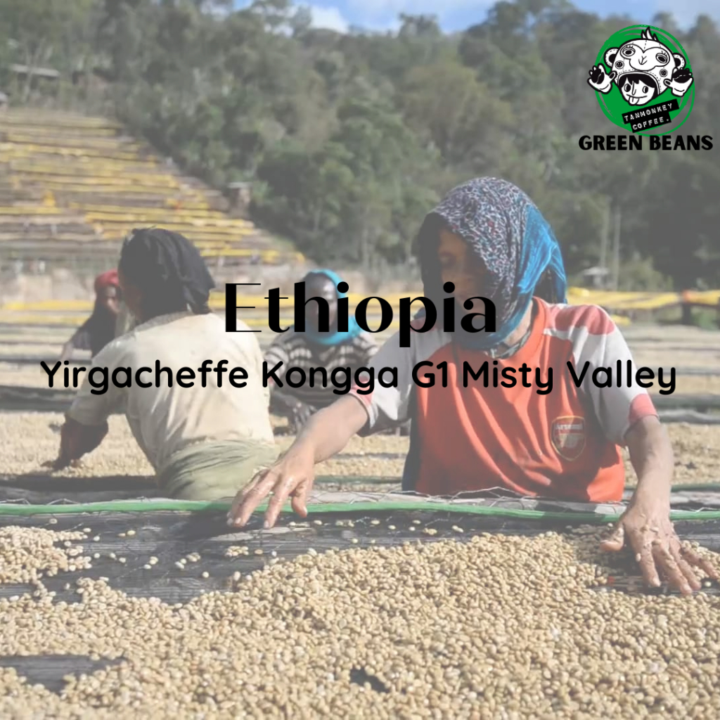 สารกาแฟเอธิโอเปีย Ethiopia Yirgacheffe Konga G1 Misty Valley
