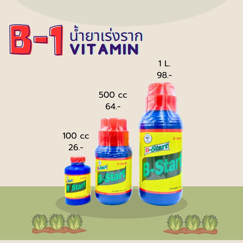 พร้อมส่ง น้ำยาเร่งราก วิตามิน ยาเร่งราก B-Start ขนาด 100 cc 500 cc และ 1 ลิตร บี-สตาร์ท T-REX