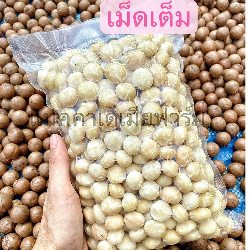 แมคคาเดเมียไทย (เม็ดเต็มA)อบ สด ใหม่ พร้อมทาน