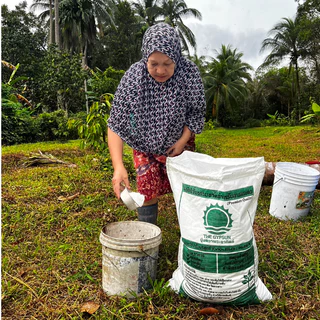 ✅🌳ผงยิปซั่มบริสุทธิ์ 96% สำหรับการเกษตร สารอาหารรองแร่ธาตุสูง รักษาราก ปรับปรุงดิน ยิปซั่มตราพระอาทิตย์ ถุงละ 1 KG