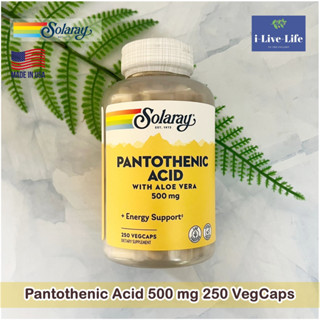 Solaray - กรดแพนโทเทนิก (วิตามินบี 5) Pantothenic Acid 500 mg 250 VegCaps