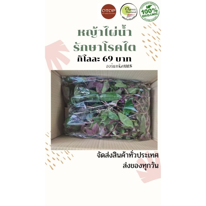 หญ้าไผ่น้ำออร์แกนิค ปลอดสารพิษ100% กิโลละ60บาท