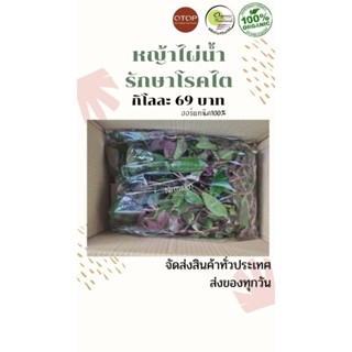 หญ้าไผ่น้ำออร์แกนิค ปลอดสารพิษ100% กิโลละ69บาท