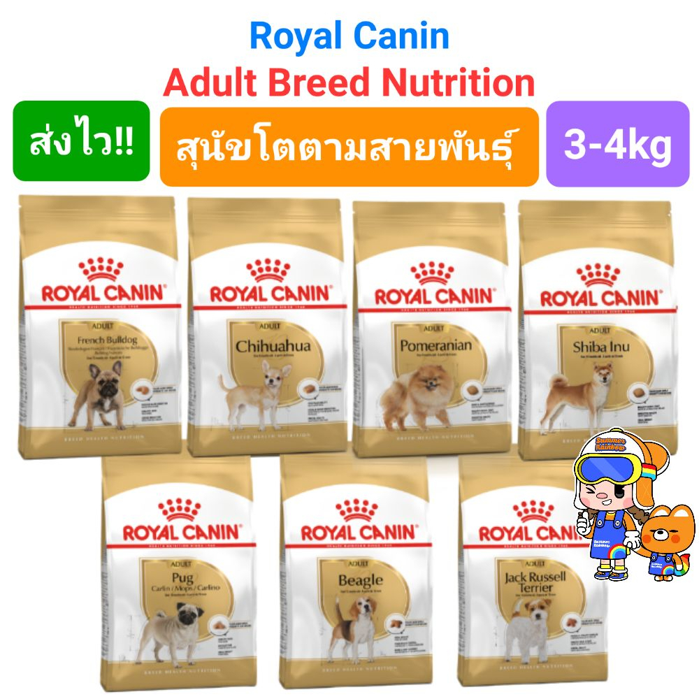 Royal Canin Chihuahua Pomeranian Beagle French Bulldog Shiba Pug Jack Russell 3kg 4kg โรยัลคานิน สุนัขโต 3-4 กิโลกรัม