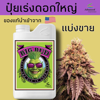 Big Bud เพิ่มดอกตูม เพิ่มดอกใหญ่ ปุ๋ยทำดอก ของแท้ 💯% นำเข้าจาก🇺🇸 แบ่งขาย 50ml 100ml 120ml 200ml 250ml