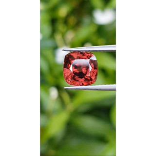 พลอย เพทาย Natural Zircon 4.55 Cts. VVS กัมพูชา (Cambodia) มีใบเซอร์