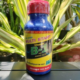 MULTI START Vitamin B1 AMINO ACID 500 cc.