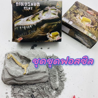 🦖🦕พร้อมส่ง‼️ชุดขุดฟอสซิลไดโนเสาร์ขนาดเล็ก DIY Dinosaur Fossil🦖🦕