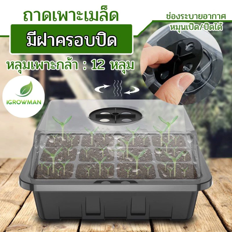 ถาดเพาะเมล็ดทรงสูง 6หลุม / 12หลุม ถาดเพาะต้นกล้า ถาดปักชำกิ่ง seedling tray พร้อมฝาบ่มระบายอากาศ ควบแน่นต้นไม้