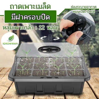 ถาดเพาะเมล็ดทรงสูง 6หลุม / 12หลุม ถาดเพาะต้นกล้า ถาดปักชำกิ่ง seedling tray พร้อมฝาบ่มระบายอากาศ ควบแน่นต้นไม้