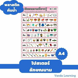 โปสเตอร์ลักษณนามที่ควรรู้ ขนาด A4 EA-458 แผ่นพลาสติก ความรู้ Vanda learning