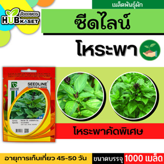 ซีดไลน์ 🇹🇭 โหระพาคัดพิเศษ SL ขนาดบรรจุประมาณ 1000 เมล็ด อายุเก็บเกี่ยว 40-50 วัน