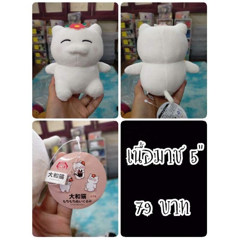 Yamato Cat#Sitting Yamato Cat Mochi Mochi#แมว#ตุ๊กตาญี่ปุ่นมือสอง