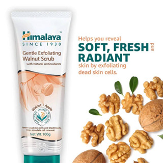 สครับวอลนัท สูตรลดสิวและควบคุมความมัน อุดมด้วยสารสกัดธรรมชาติ Himalaya Gentle Exfoliating Walnut Scrub 100ml