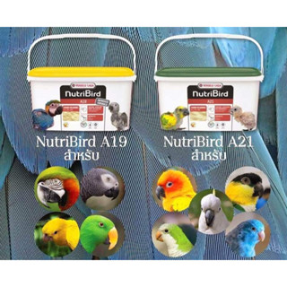 อาหารนกลูกป้อน NutriBird A19,A21,และสูตร HIGH