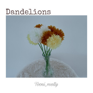 ดอกแดนดิไลออน (Dandelion)