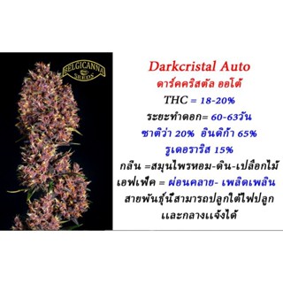 Dark cristal Auto เพศเมีย100%