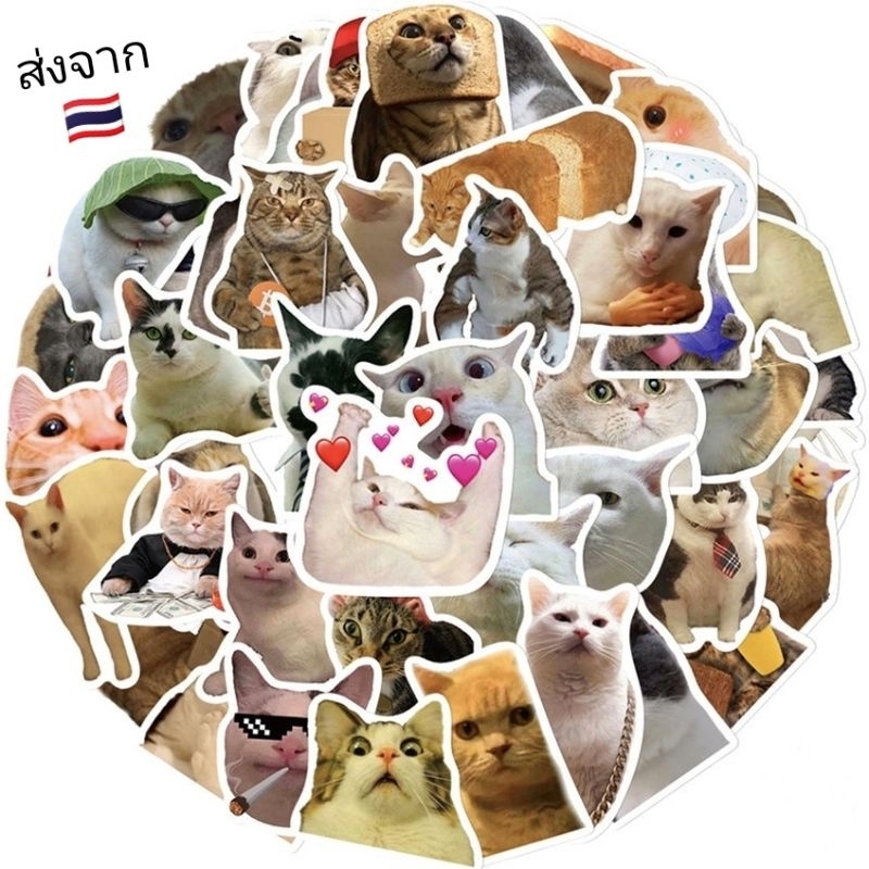 สติ๊กเกอร์น้องแมว สติ๊กเกอร์คนรักแมว ทาสแมว ลายน่ารัก50ชิ้นลายไม่ซ้ำ