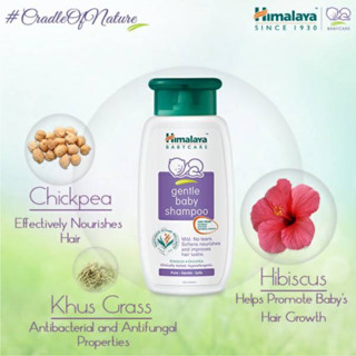 [แชมพูเด็กเข้าตาไม่แสบ] Himalaya Baby Gentle Baby Shampoo 100 ml. สูตรอ่อนโยน ไม่ระตายเคืองดวงตา หิมาลายา แชมพู