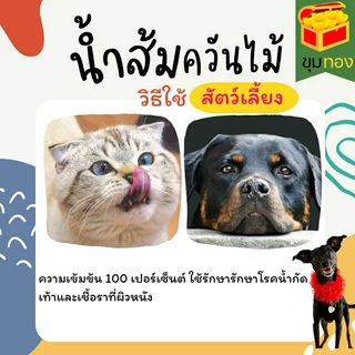 น้ำส้มควันไม้แท้100% 5 ลิตร , ดับกลิ่นมูลสัตว์ บำบัดน้ำเสีย ฟาร์มไก่ หมู เป็ด(บิลเงืนสดแจ้งก่อนส่งพัสดุ)