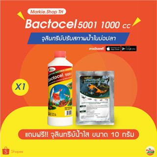 BACTOCEL  5001 แถม น้ำใส 1ชิ้น น้ำยาดับกลิ่น รักษาสภาพน้ำ ในบ่อปลา แบคโตเซล 5001  (1000 ml) ลดแอมโมเนีย ไนไตรท์ไนเตรท