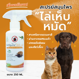 กำจัดเห็บ หมัด SAMUNPINE สเปรย์สมุนไพร ไล่เห็บ ขนาด 250ml/Anti-Tick and Flea Herbal Spray 250ml(ไร้สารเคมี/เห็นผลชัดเจน)