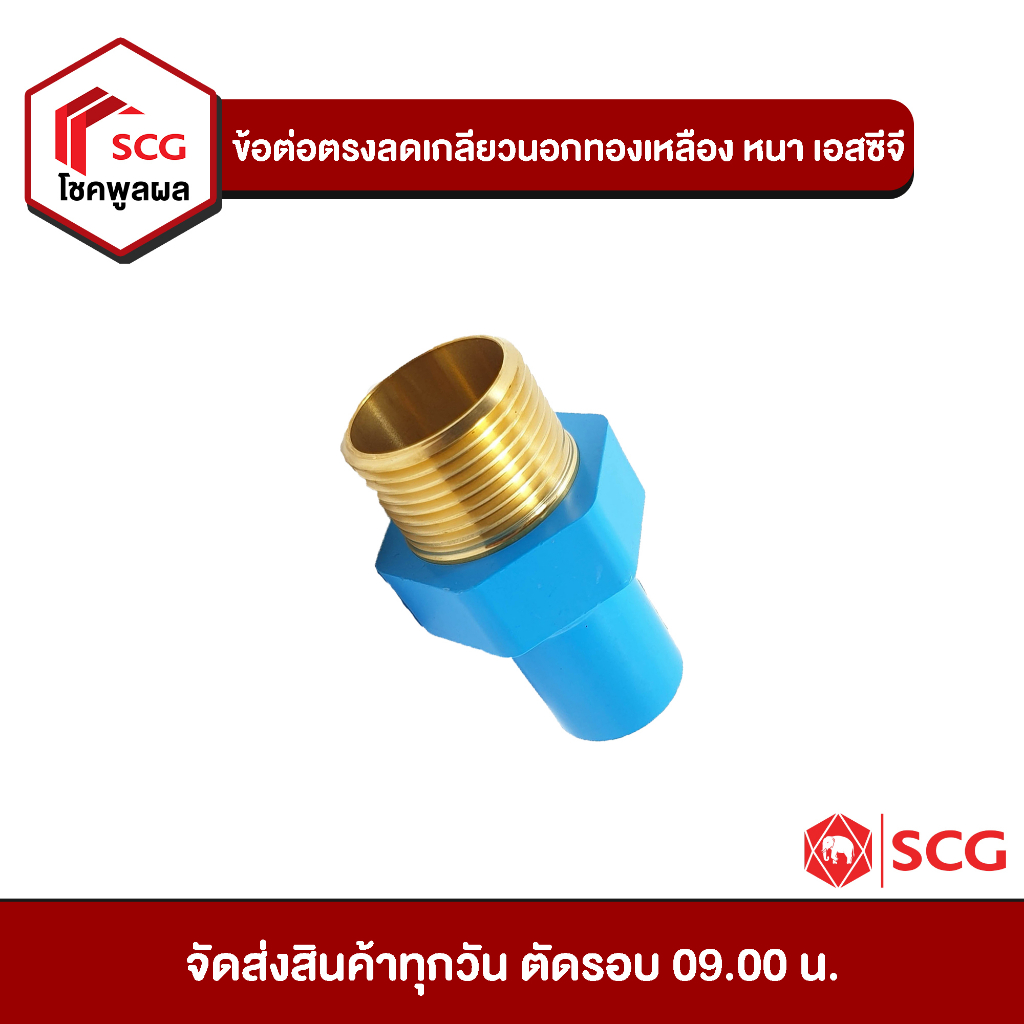 ข้อต่อพีวีซี ข้อต่อตรงลด เกลียวนอก ทองเหลือง หนา เอสซีจี PVC SCG