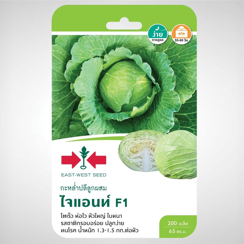 กะหล่ำปลี ไจแอนท์ 200เมล็ด ศรแดง