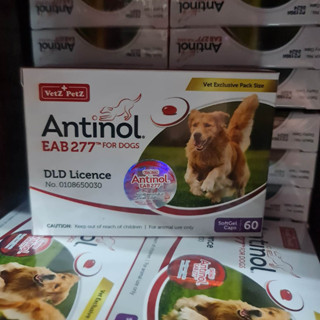 Antinol DOG แบ่งขาย บรรจุ 60 เม็ด อาหารเสริม บำรุงข้อสุนัข ข้ออักเสบ