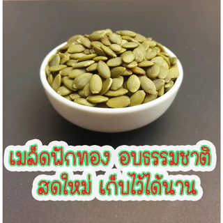 เมล็ดฟักทองอบ พร้อมทาน ขนาด 100 g. เมล็ดฟักทองกะเทาะเปลือก