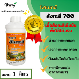 โฟแมกซ์ สังกะสี 700 ป้องกันอาการใบแก้ว ใบลายในส้ม กระตุ้นการแตกตา แตกยอด พืชทนต่ออากาศหนาว