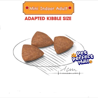 Royal Canin Mini Indoor Adult 7.5kg โรยัลคานิน สุนัขโต พันธุ์เล็กเลี้ยงในบ้าน 7.5 กิโลกรัม