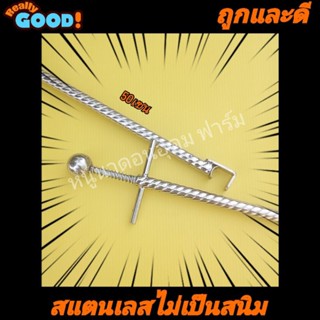 คีมคีบหางหนูสแตนเลส50เซน