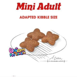 Royal Canin Mini Adult 8kg / Royal Canin Mini Adult 8+ ถุงขนาด 8kg โรยัลคานิน สุนัขพันธุ์เล็ก ถุง 8 กิโลกรัม