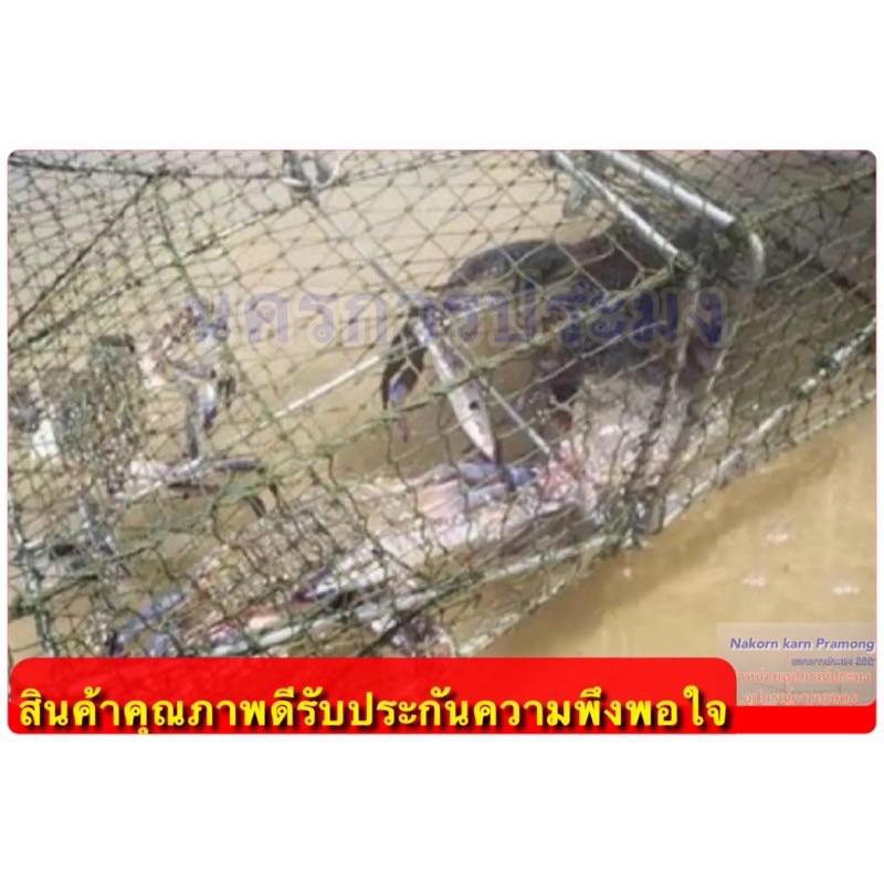 ลอบปู ลอบดักปูใช้ดักปู รุ่นลวดทั่วไป  ขนาด กว้าง*ยาว*สูง (35*52*20 ซม.)  ขนาดตา 3.0 ซม. ทั้งตัว - รูปที่ 6