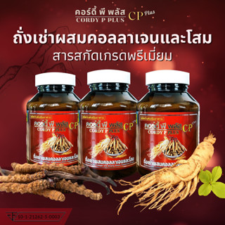 CORDY P PLUS คอร์ดี้ พี พลัส ถั่งเช่าทิเบตแท้ 100% ผสมคอลลาเจนและโสมสกัดจากเกาหลี 1กล่องบรรจุ 30 แคปซูล Esydew