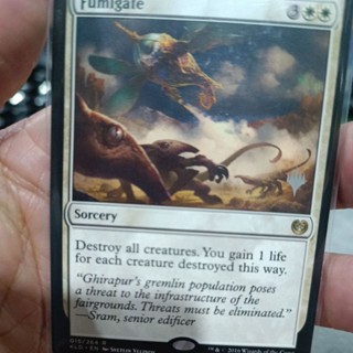 Fumigate MTG Single Card