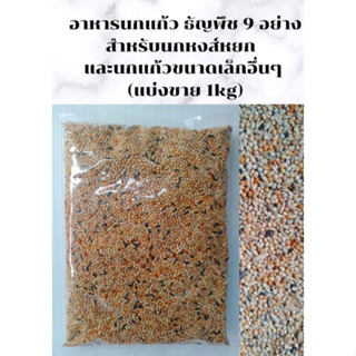 อาหารนกแก้ว 9 อย่าง สำหรับนกหงส์หยก และนกแก้วขนาดเล็ก(แบ่งขาย1กิโลกรัม) NO.B030