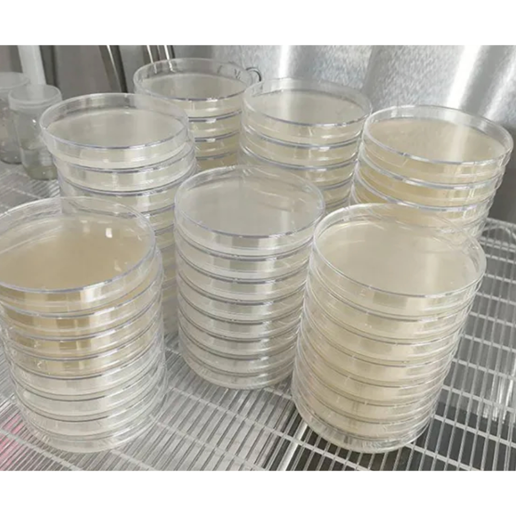 วุ้น PDA (POTATO DEXTROSE AGAR) บรรจุในจานเพาะเชื้อ (พร้อมใช้) สำหรับเพาะเชื้อเห็ดหรือเชื้อรา 10 ชิ้