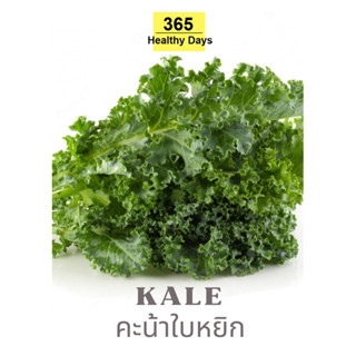 KALE เคล คะน้าใบหยิก 500 g.