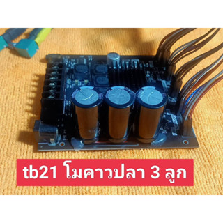 แอมป์ Bluetooth TB21 ย้ายโมคาวปลา 3 ลูก