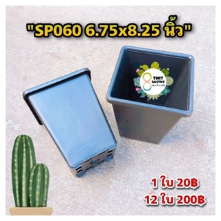 สี่เหลี่ยม SP060 7 นิ้ว (6.75 นิ้ว)(ทรงสูง) // กด 12 ชิ้น 200 บาท -- กระถางพลาสติก แคคตัส กระบองเพชร