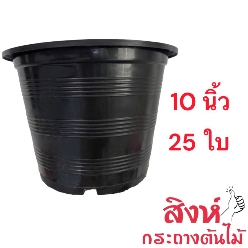 กระถางขาว 10 นิ้ว 10 25 50 100 ใบ