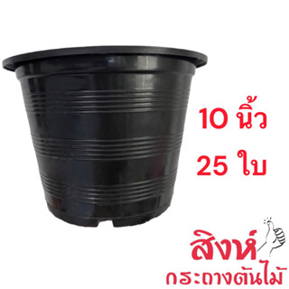 กระถาง 10 นิ้ว 25 ใบ