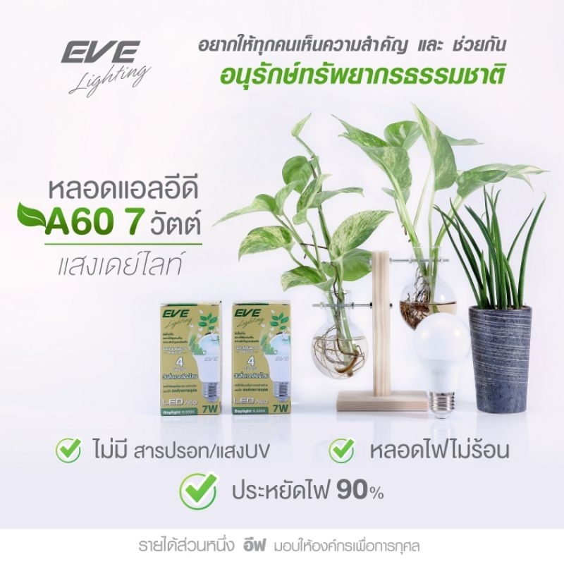 EVE หลอดแอลอีดี A60 ขนาด 7 วัตต์ แสงขาว ขั้ว E27 (Thai Environment Day bulb)