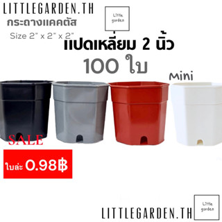 Little กระถางแคคตัส 2 นิ้ว 100 ใบ  (สีดำ สีขาว สีอิฐ สีเทา) กระถางแปดเหลี่ยม กระถางกระบองเพชร