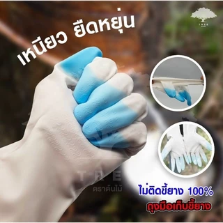 (พร้อมส่ง‼️) ถุงมือเก็บขี้ยาง pvc 1โหล(12คู่) ถุงมือกรีดยางไม่ติดมือ100% อเนกประสงค์ ใช้ซ้ำได้หลายรอบ